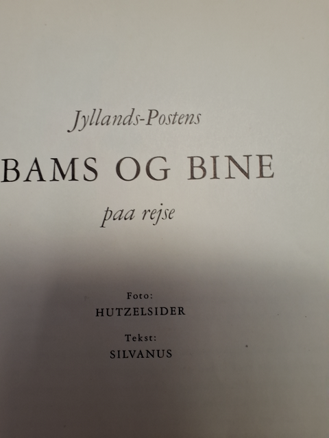 Bams og Bine fra,Jyllands posten